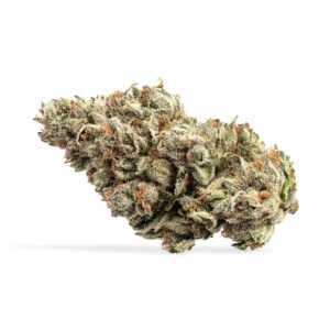 Jack Herer