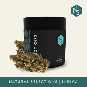 Dosidos